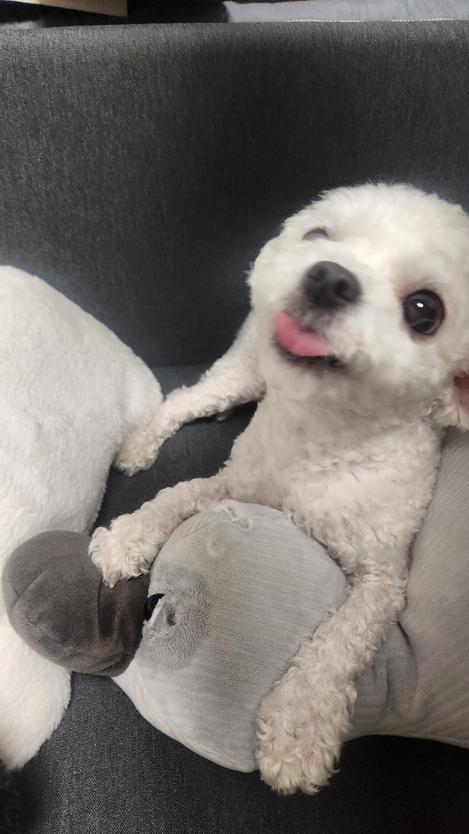 게시물 이미지 2