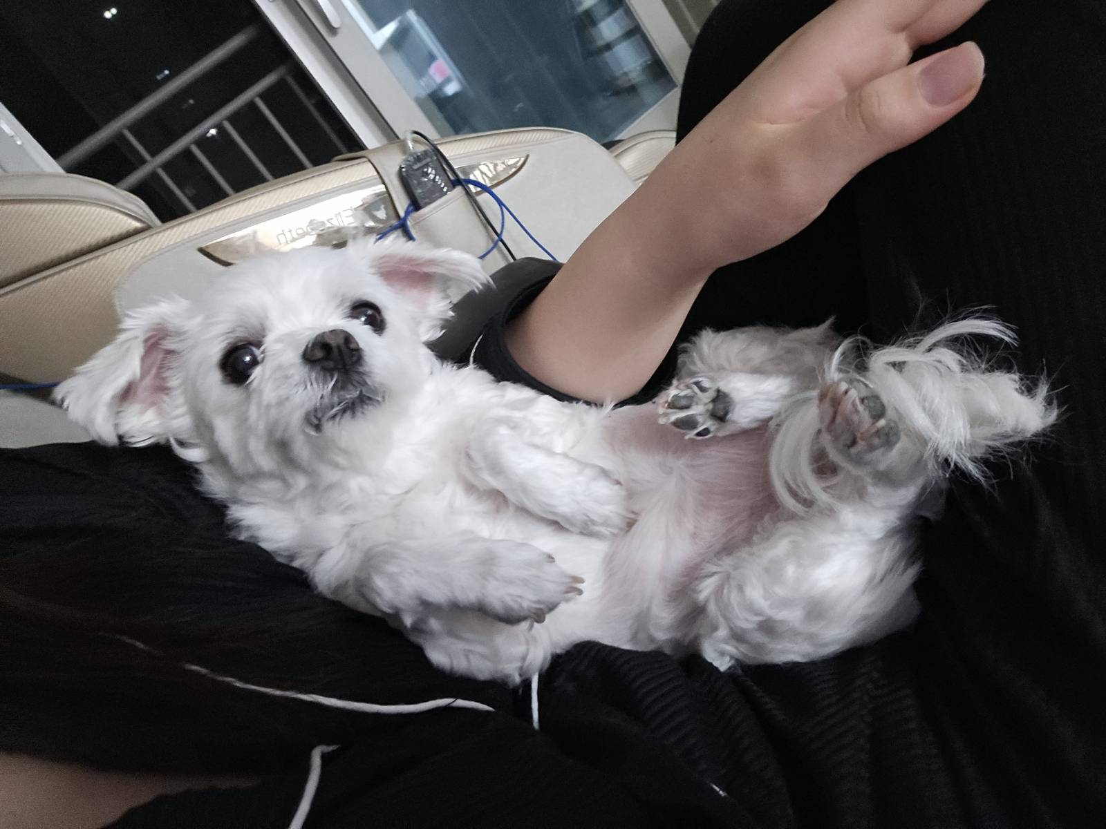 게시물 이미지 1