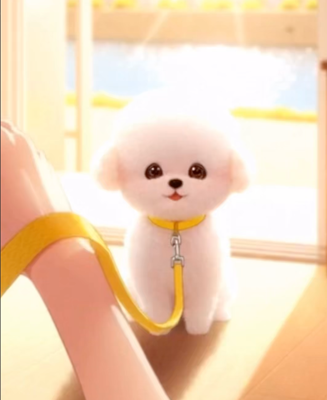 우리 강아지 너무 귀여워요