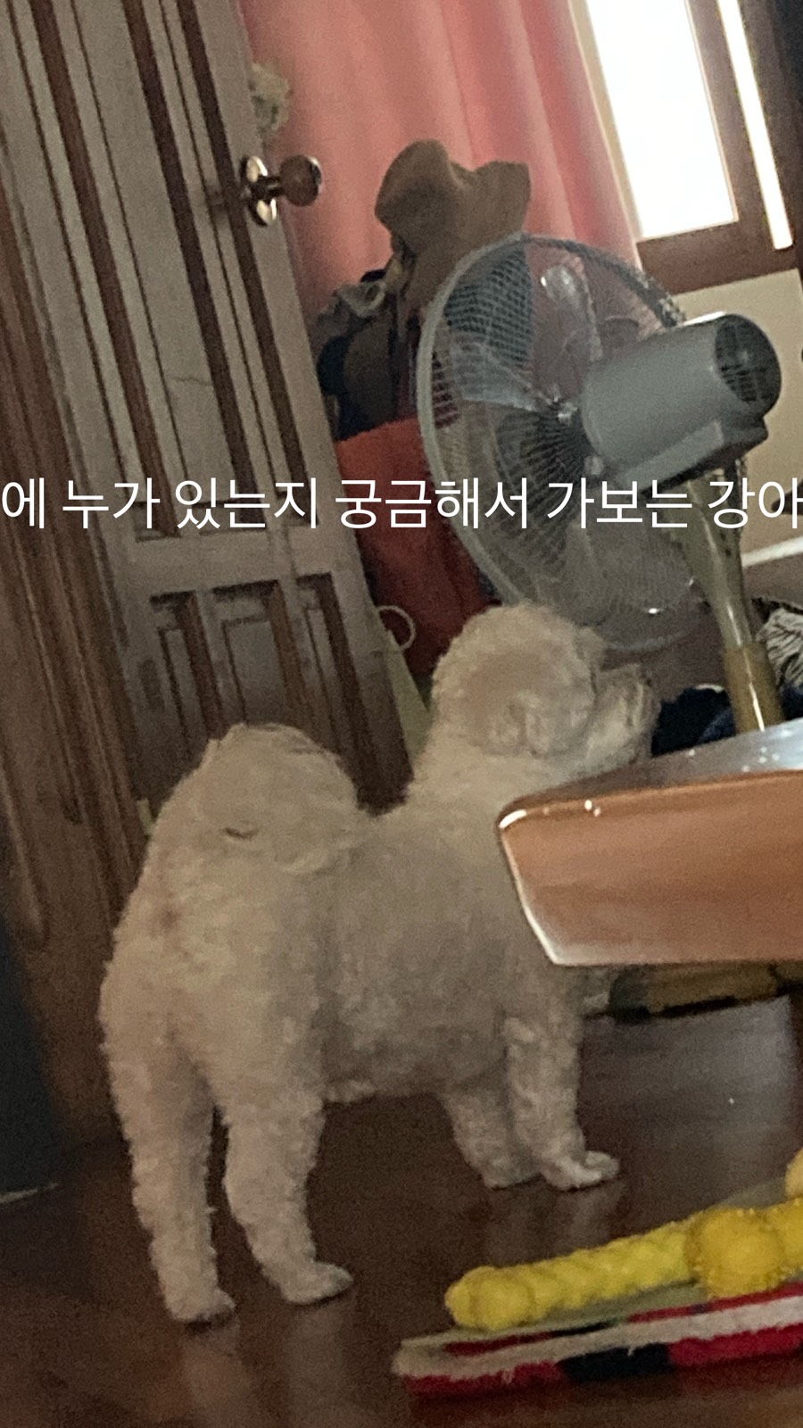 게시물 이미지 1