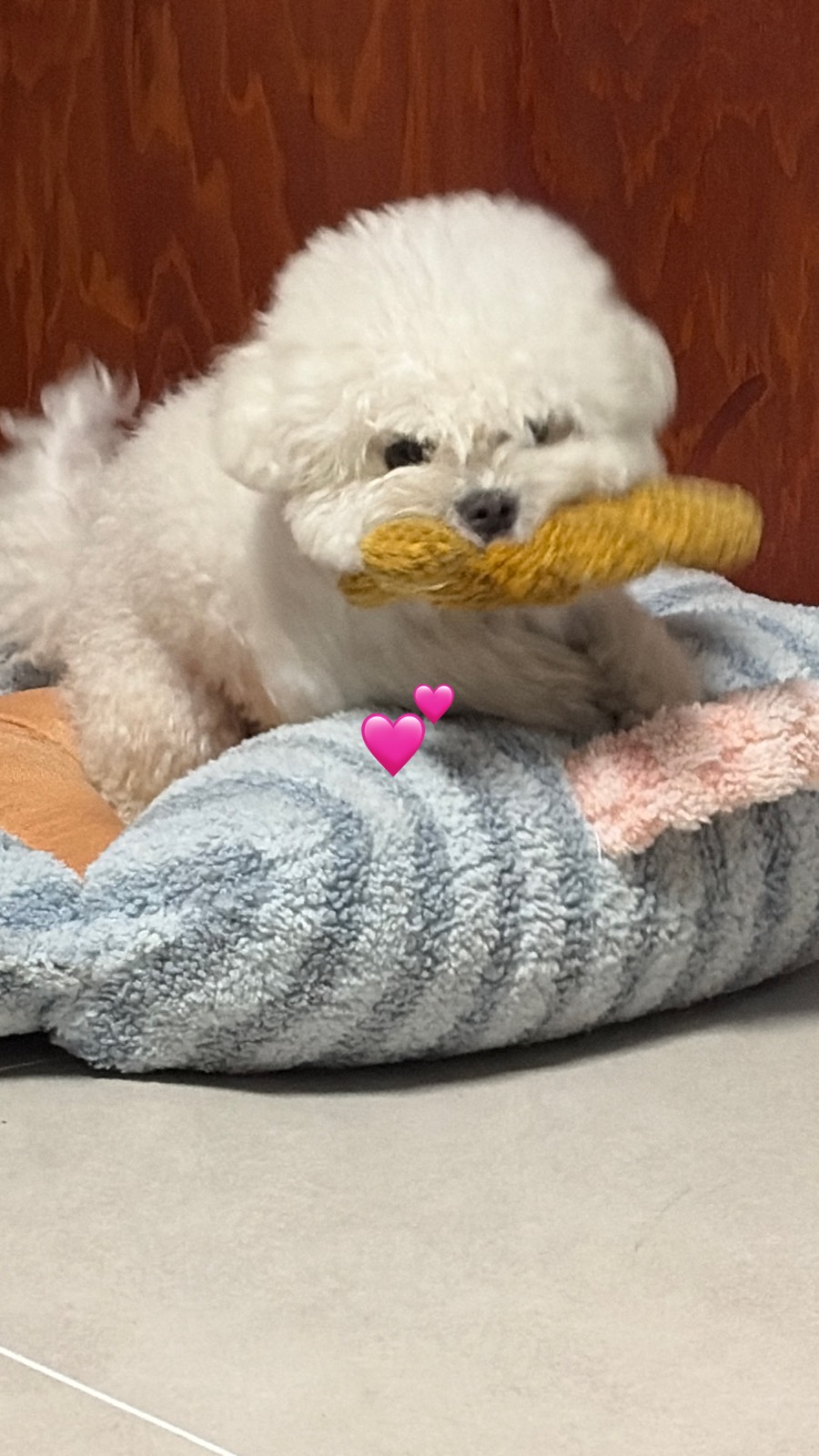 오랜만♡