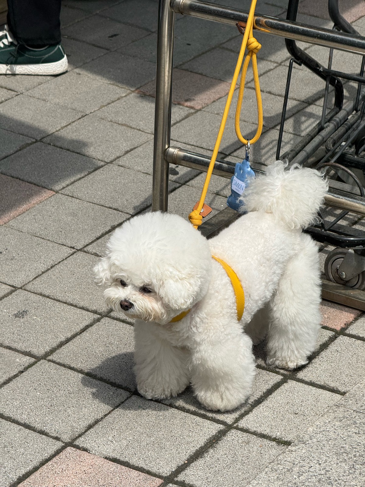 게시물 이미지 1