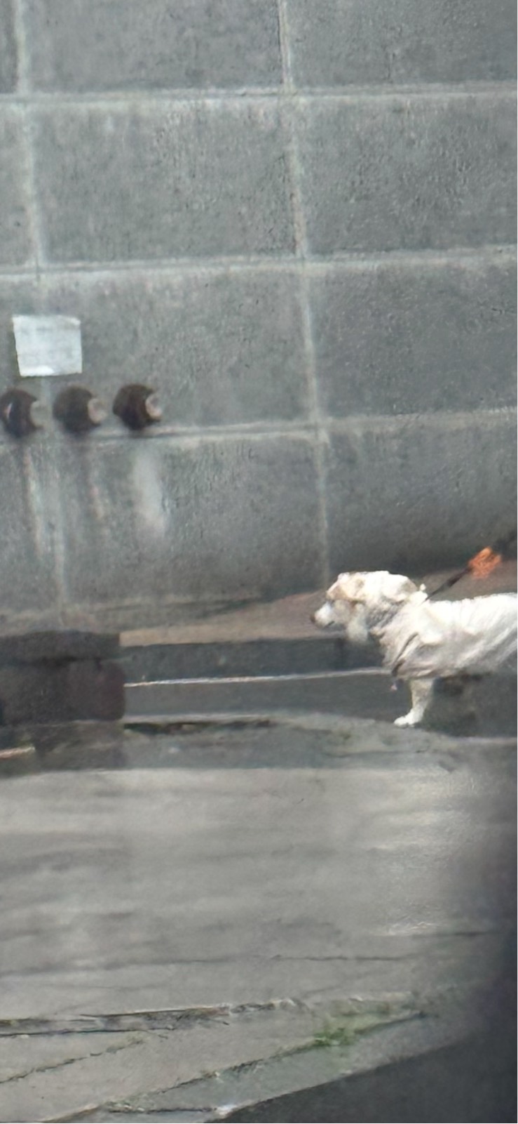 서울은 비가 오네요