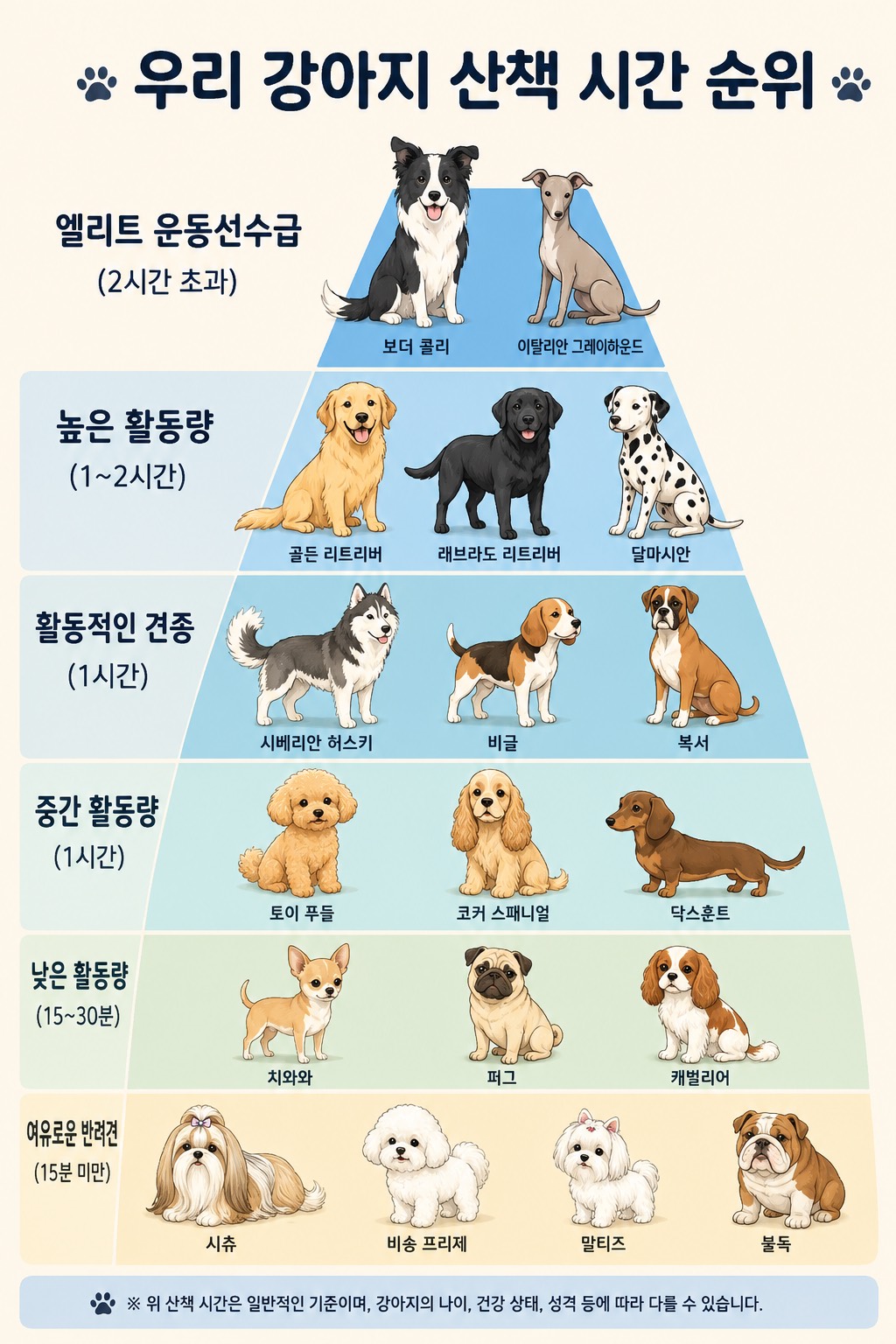 게시물 이미지 1