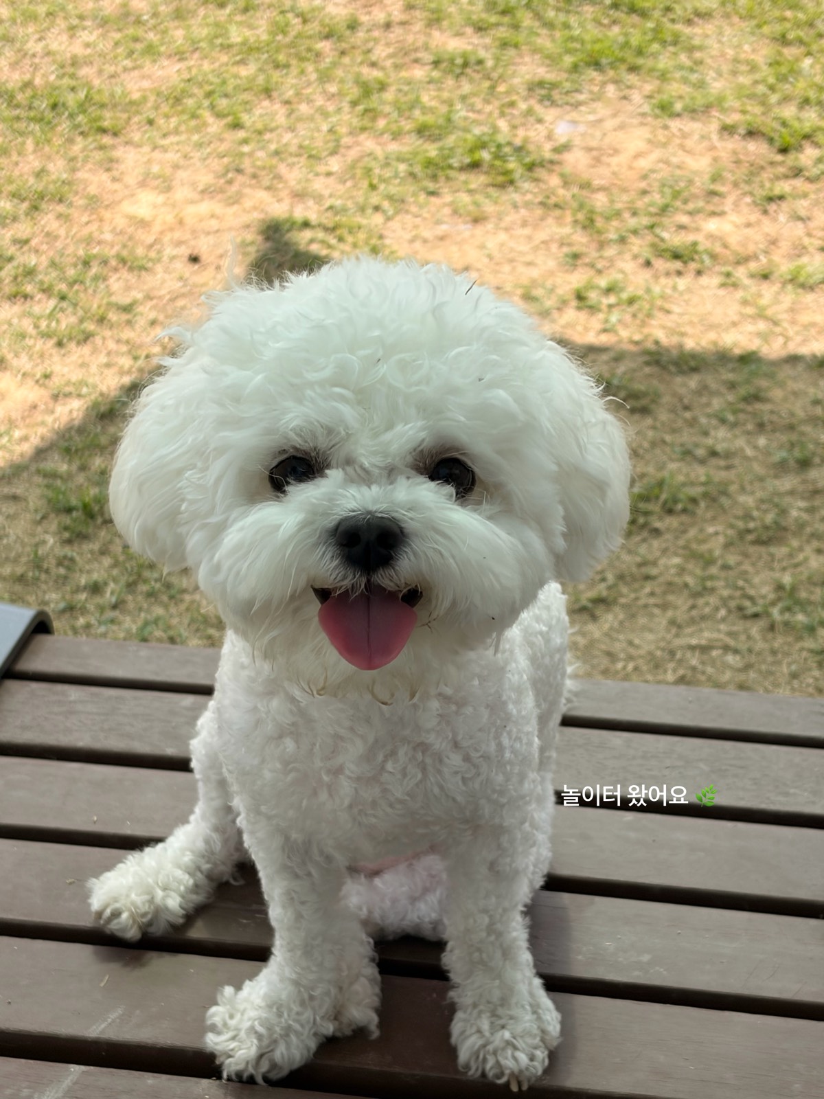 놀이터 왔어요 ☘️🍀