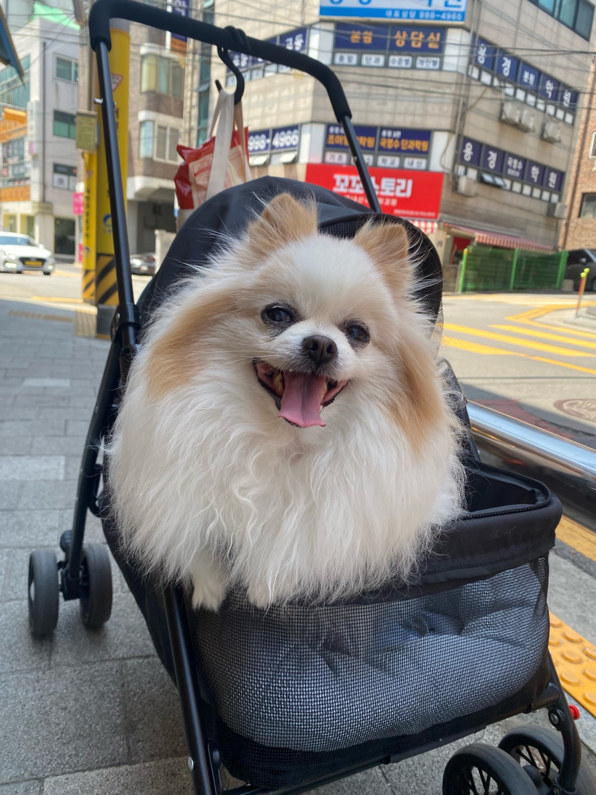 산책