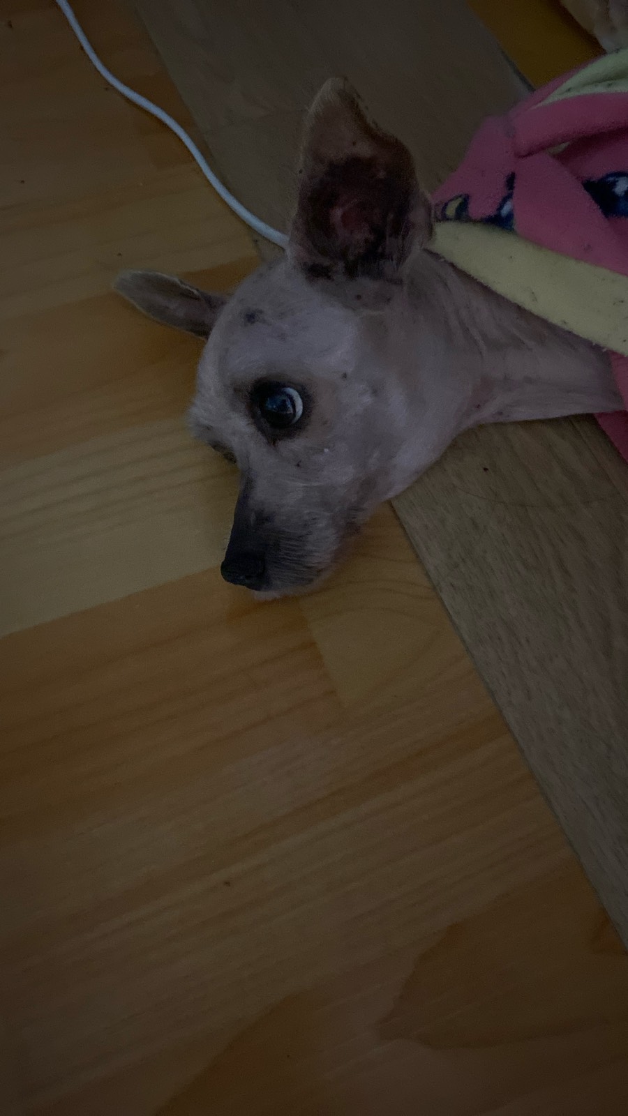 복이