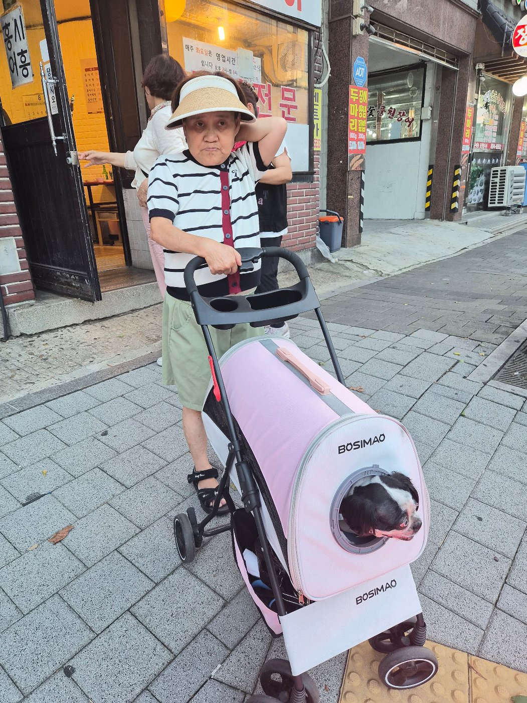 미용후 산책