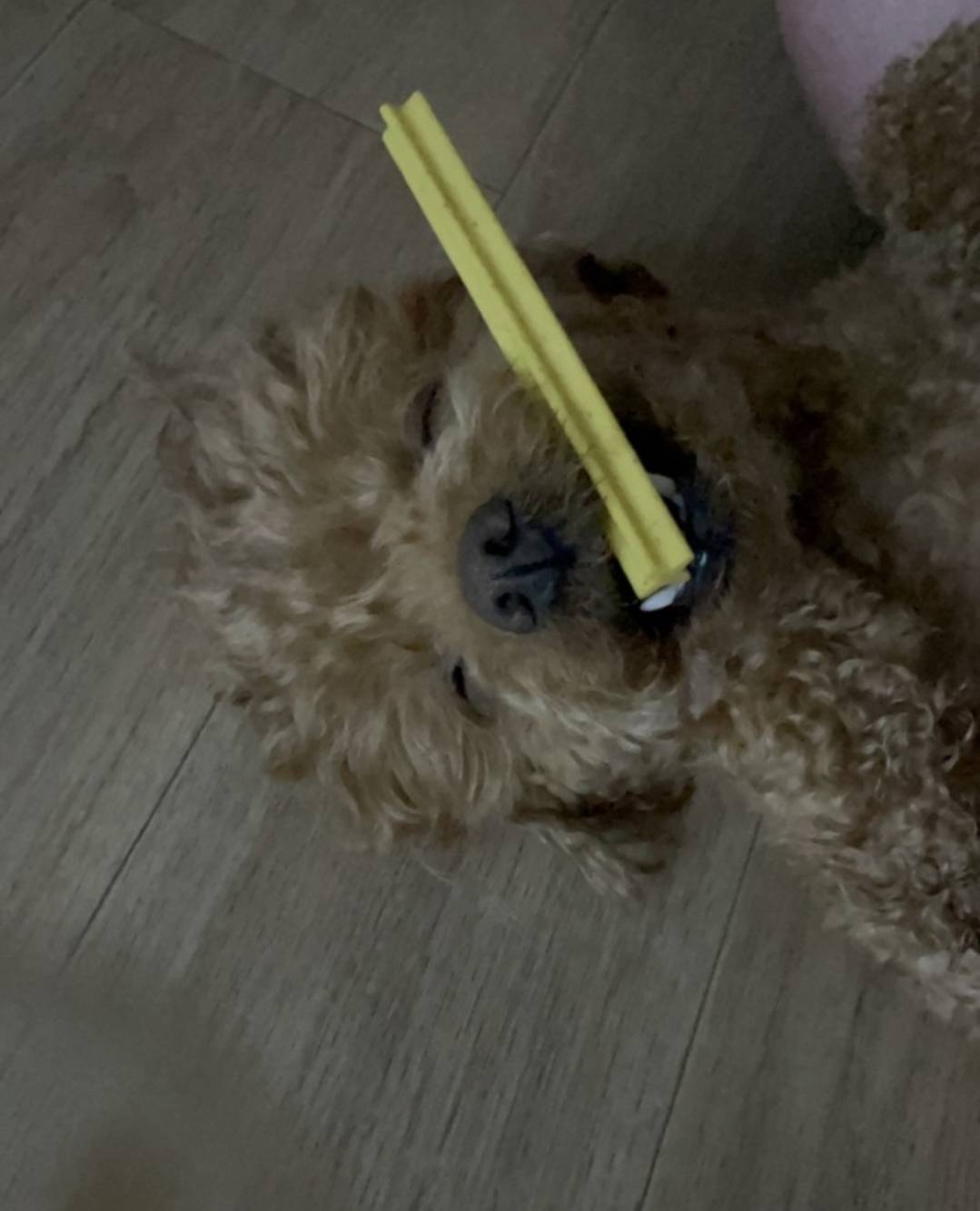 게시물 이미지 1