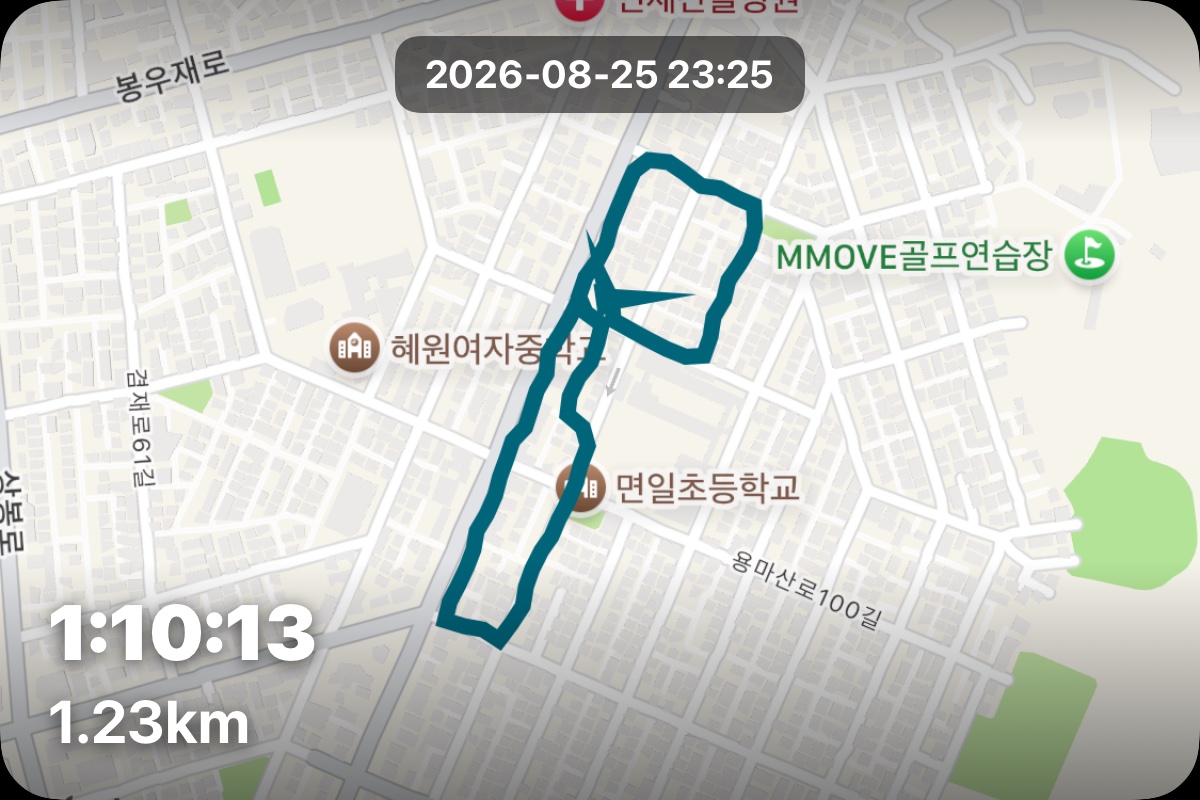 산책 인증