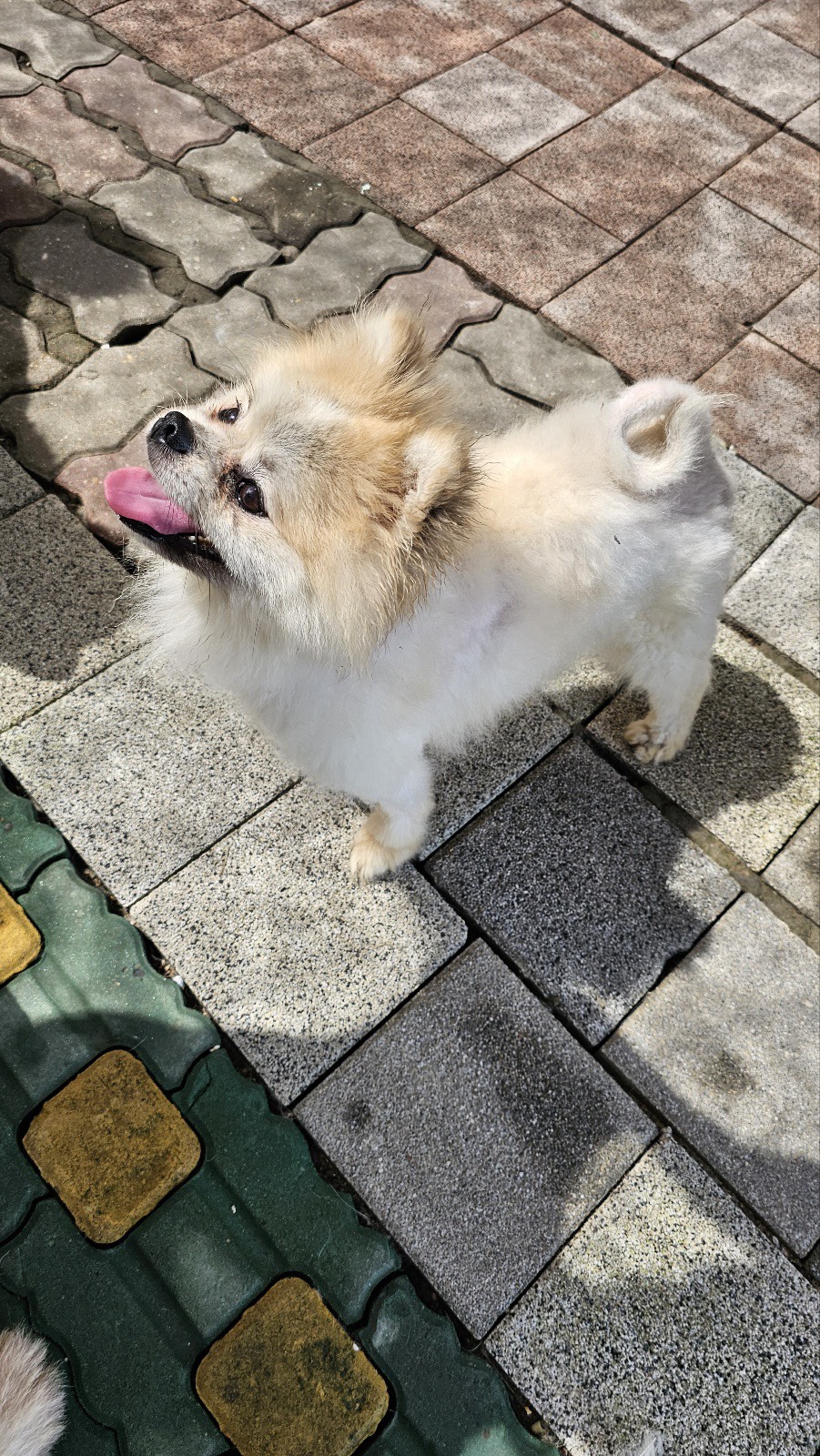 산책고고!